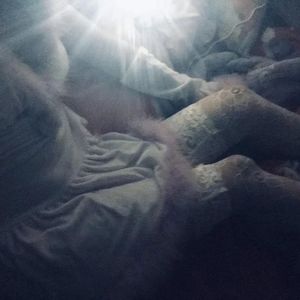 骑女马四肢着地爬行
